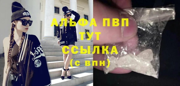 PSILOCYBIN Балабаново