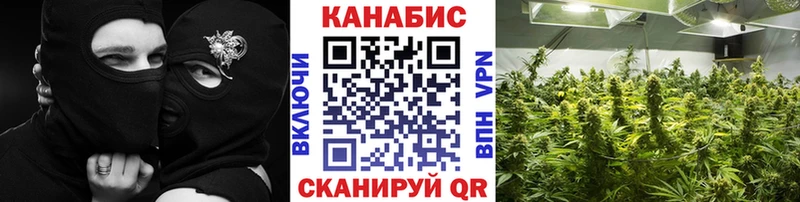 Бошки марихуана семена  ссылка на мегу ссылка  Петровск-Забайкальский  где можно купить  